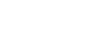 Grange Insurance Logo - White